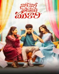 నారి నారి నడుమ మురారి Nari Nari Naduma Murari